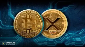 کدام رمزارز در ۲۰۲۶ سود بیشتری می‌دهد؛ بیت‌کوین یا ریپل؟