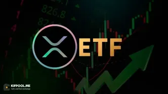 چرا سرمایه‌گذاران همین حالا میلیون‌ها دلار وارد ETFهای ریپل می‌کنند؟