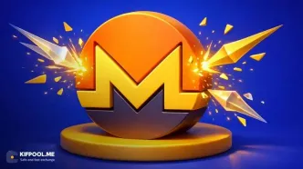 بولت پروف (Bulletproof) در شبکه مونرو چیست و چگونه حریم خصوصی این شبکه را تضمین می‌کند؟
