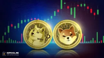 آیا شیبا اینو اکوسیستم بهتری نسبت به دوج کوین دارد؟