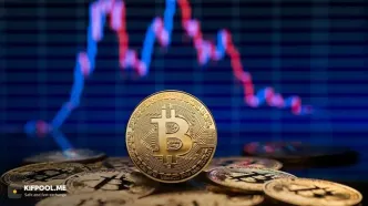 بیت کوین ۶۷ هزار دلار را پس گرفت؛ کدام آلت کوین‌ها بیشترین سود را دادند؟
