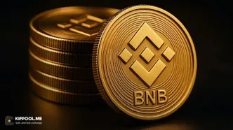 تحلیل جدید بایننس کوین (BNB)؛ حرکت به سمت 780 دلار؟