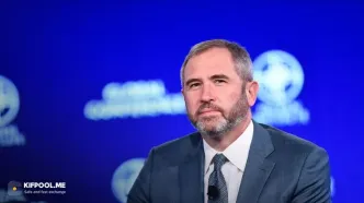 مدیرعامل ریپل: ارزش رمزارزها با کاربرد واقعی ساخته می‌شود، نه مهندسی مالی