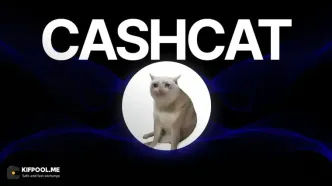 سقوط ۶۵ درصدی CASHCAT در یک هفته؛ پایان یک میم‌کوین دیگر یا شروع یک پامپ جدید؟