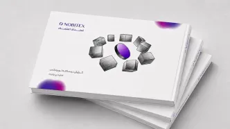 گواهی کارشناسان دادگستری بر ذخایر نوبیتکس