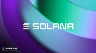 میم‌کوین جیموتی سولانا پس از پست ایلان ماسک درباره راکون، ۳۳۱ درصد رشد کرد