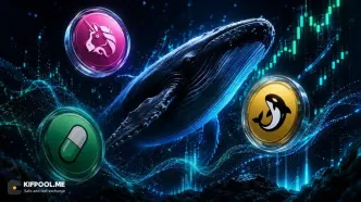 خرید سه آلت‌کوین توسط نهنگ‌ها در سپتامبر ۲۰۲۶؛ UNI، ORCA و PUMP زیر ذره‌بین بازار