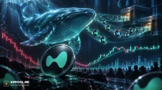 فروش ۲۰ میلیون دلاری HYPE توسط یک نهنگ؛ بازار تا کجا مقاومت می‌کند؟