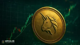 رکوردشکنی یونی سواپ؛ رشد Robinhood Chain سوزاندن ۱.۱۵ میلیون دلار را رقم زد