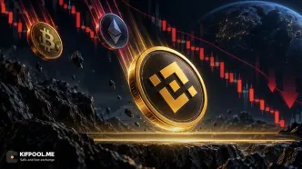 قیمت BNB به مرز ۷۰۰ دلار رسید؛ حمایت کلیدی زیر فشار فروش