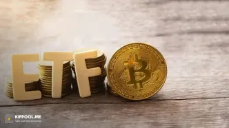 کدام ETF ارز دیجیتال بیشترین سرمایه را جذب کرد؟ نه بیت‌کوین بود و نه اتریوم!
