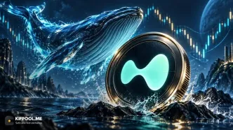 انباشت ۲۸.۸ میلیون دلاری نهنگ HYPE؛ آیا قیمت این ارز به ۱۰۰ دلار می‌رسد؟