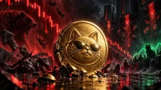 سقوط ۱۶ درصدی CASHCAT؛ آیا رشد نرخ تأمین مالی امید خریداران را زنده نگه می‌دارد؟